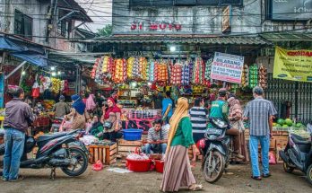 purbaoya umkm online pajak