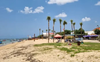 kelapa tanjung benoa